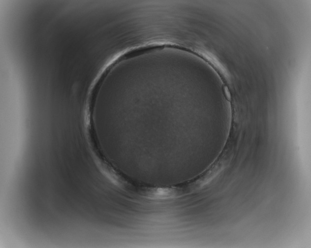 X0000114580060200910191531