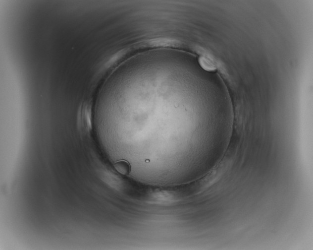 X0000114580062200910191531