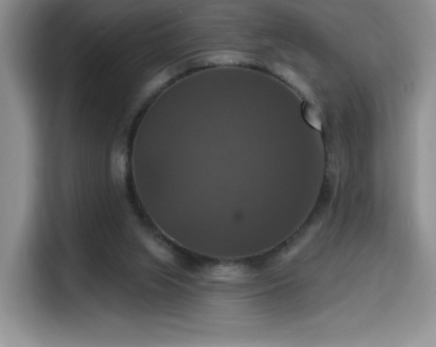 X0000114580063200910191531