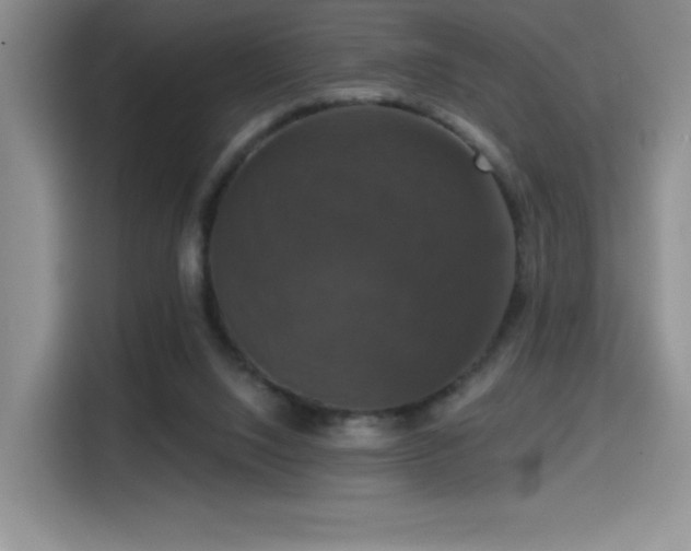 X0000114580064200910191531