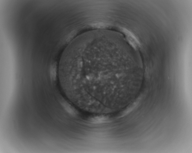 X0000114580065200910191531