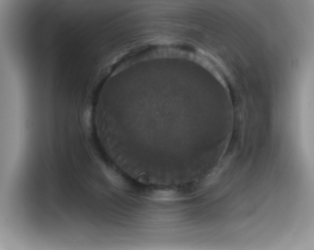 X0000114580066200910191531