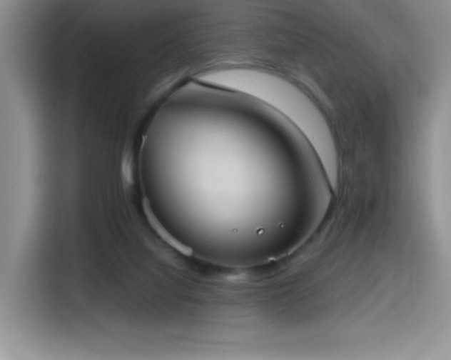 X0000114580068200910191531