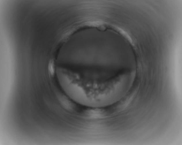 X0000114580069200910191531