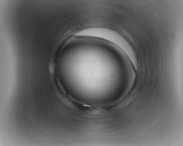 X0000114580072200910191531