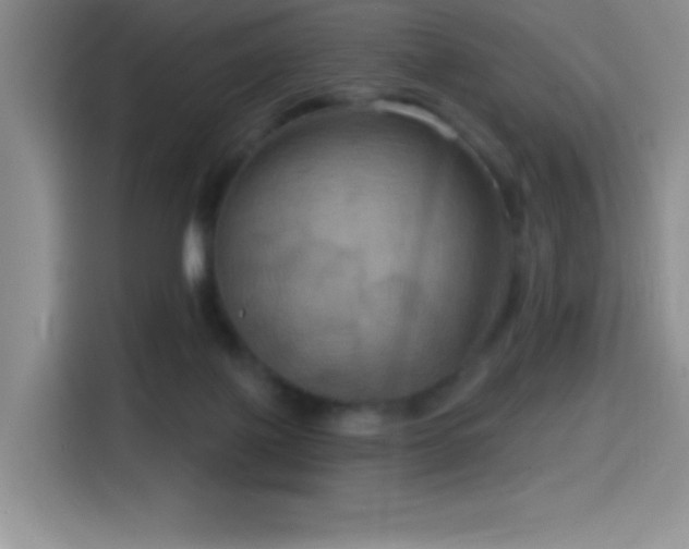 X0000114580075200910191531