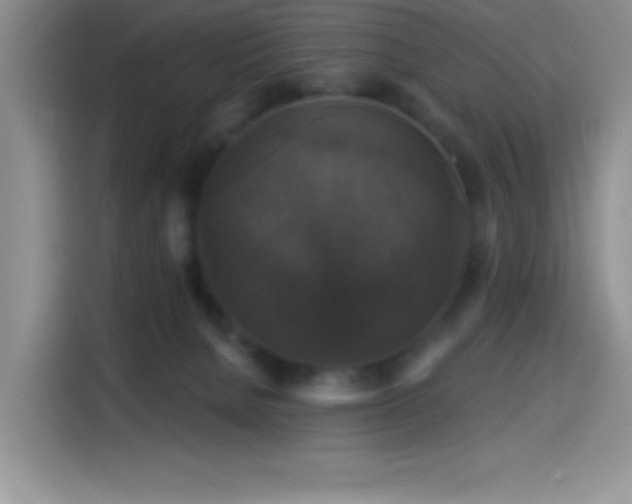 X0000114580080200910191532