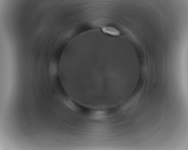 X0000114580081200910191532