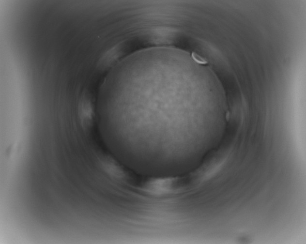 X0000114580084200910191532