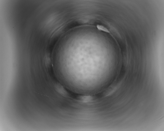 X0000114580085200910191532