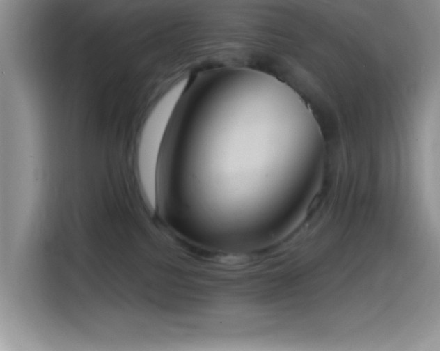 X0000114580088200910191532