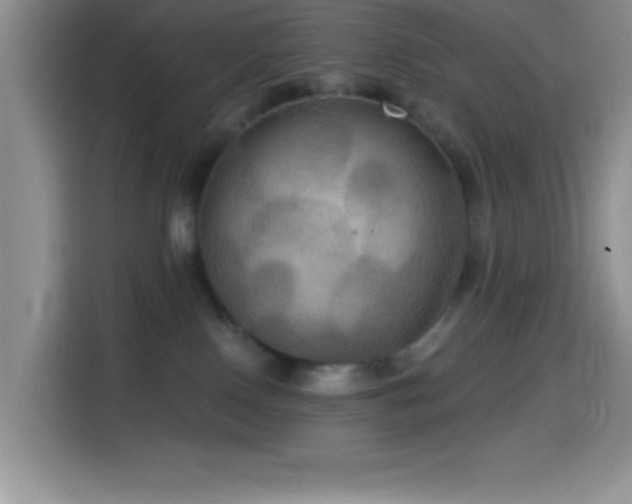 X0000114580090200910191532