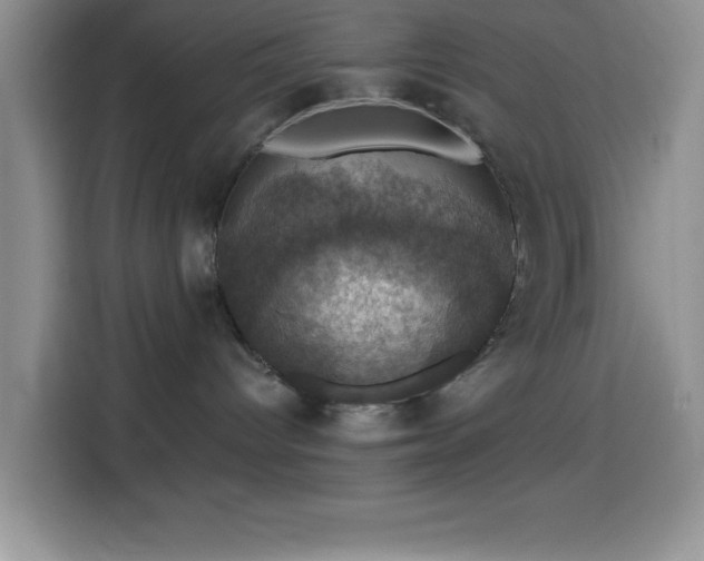 X0000114580096200910191532