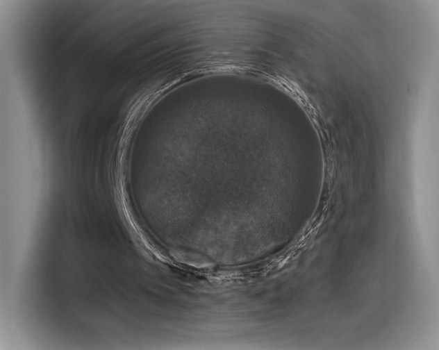 X0000114580097200910191531