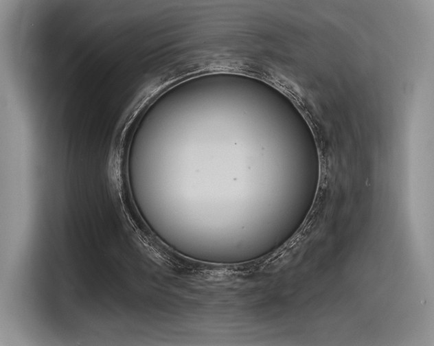 X0000114580098200910191531