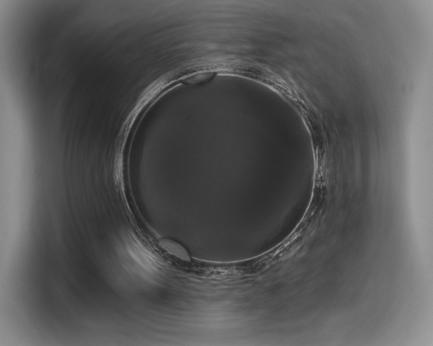 X0000114580099200910191531