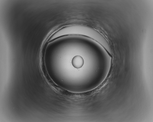 X0000114580101200910191531