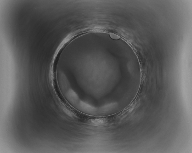 X0000114580102200910191531