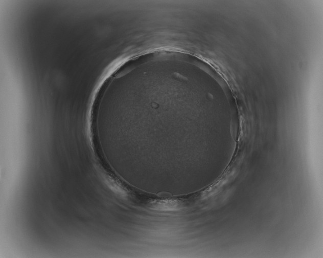 X0000114580104200910191531