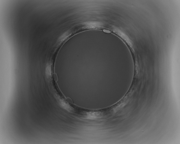 X0000114580105200910191531