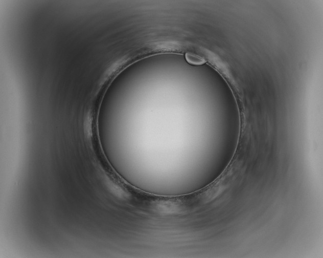 X0000114580106200910191531