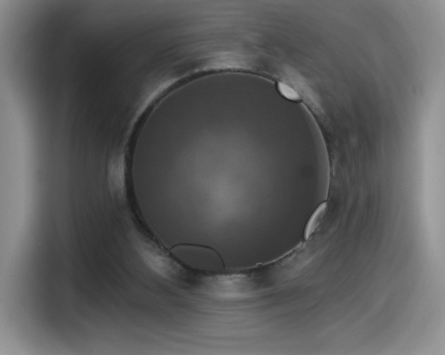 X0000114580108200910191531