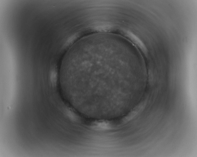 X0000114580113200910191531