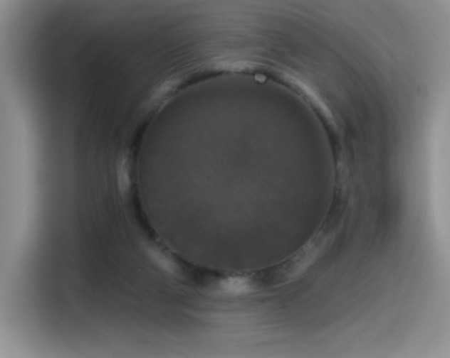 X0000114580114200910191531