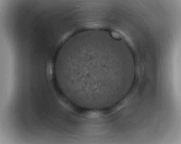 X0000114580115200910191531