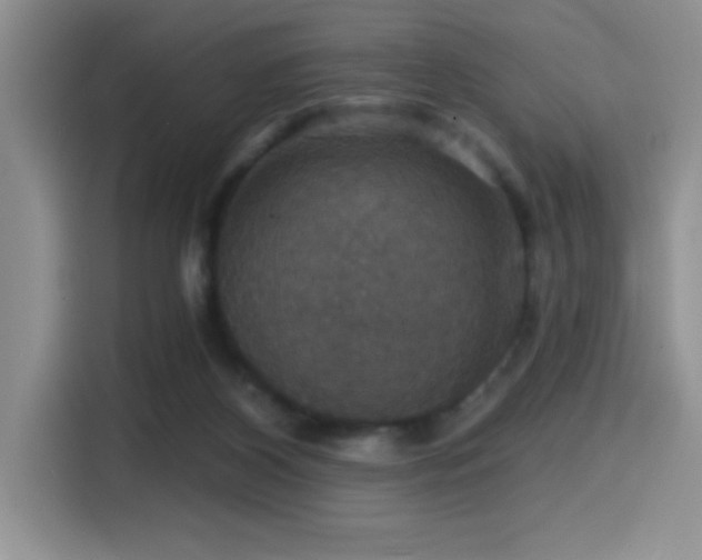 X0000114580116200910191531