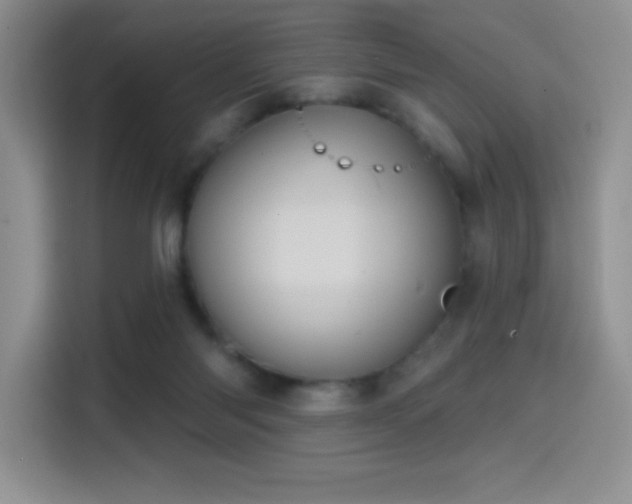 X0000114580118200910191531