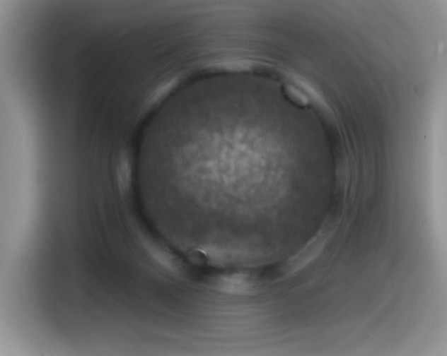 X0000114580120200910191531