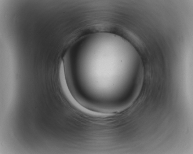 X0000114580121200910191531