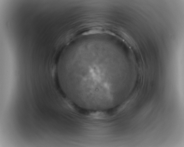 X0000114580125200910191531