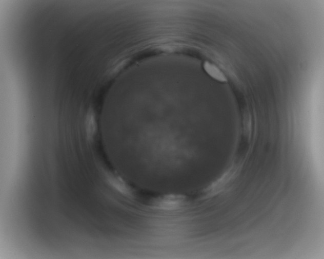 X0000114580128200910191531