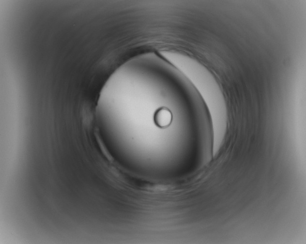 X0000114580129200910191531