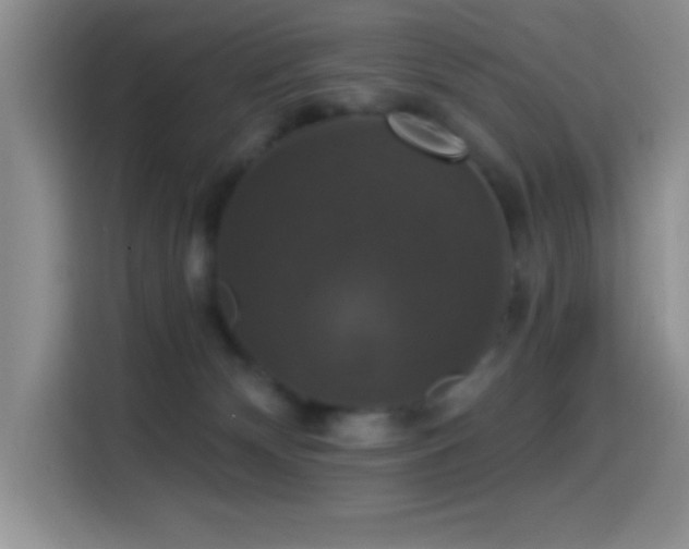 X0000114580132200910191531