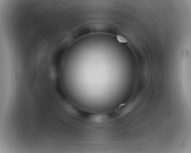 X0000114580135200910191531