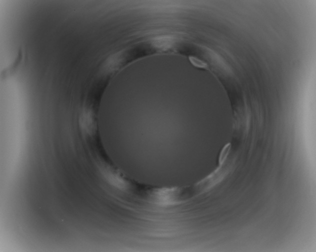 X0000114580136200910191531