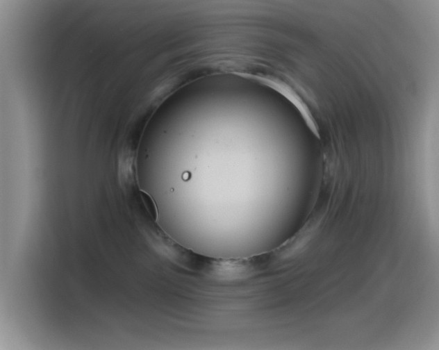 X0000114580141200910191531