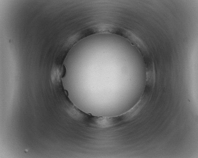 X0000114580142200910191531