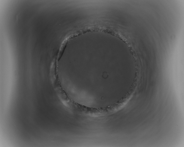 X0000114580144200910191531