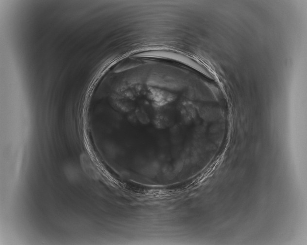 X0000114580145200910191530