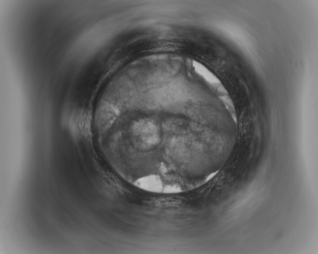 X0000114580146200910191530