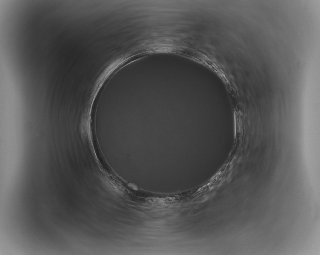 X0000114580147200910191530