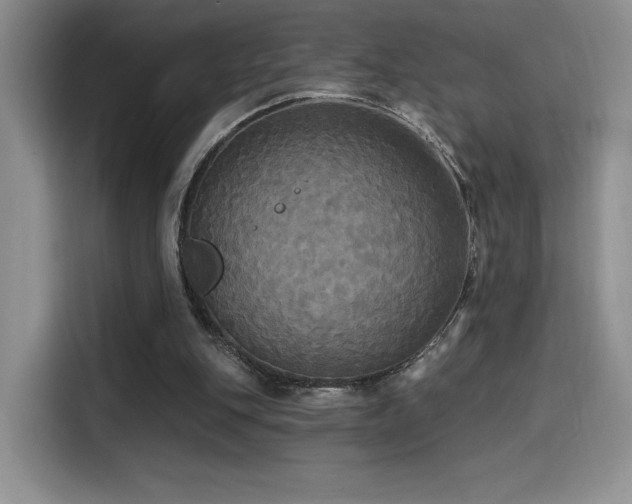 X0000114580151200910191530