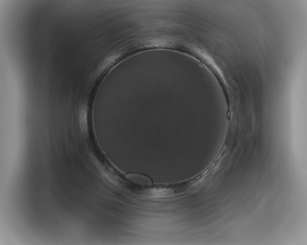 X0000114580154200910191530