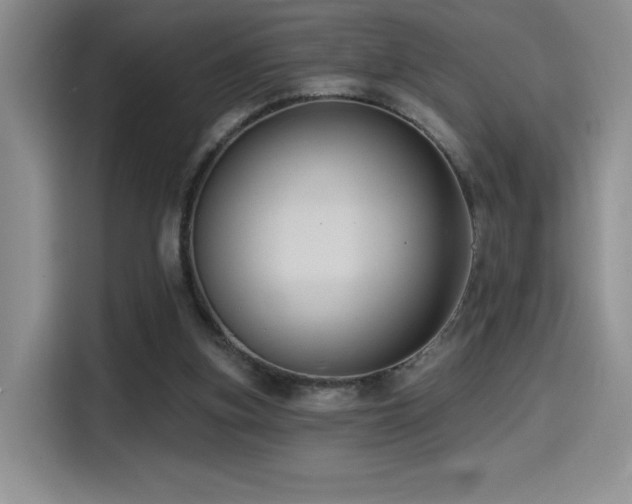 X0000114580155200910191530