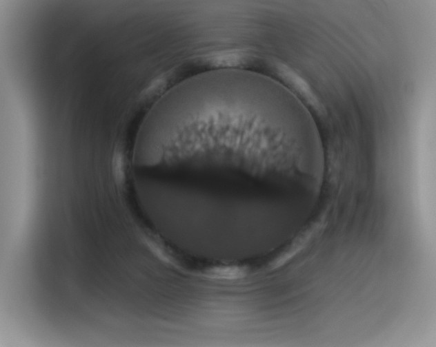 X0000114580161200910191530