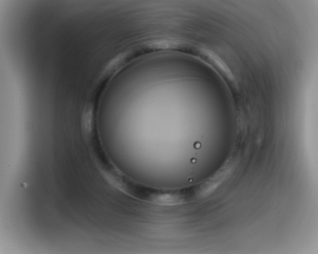 X0000114580163200910191530